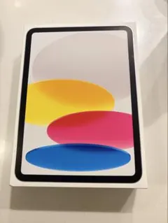 ipad 本体 wifiモデル