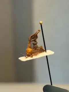 13mm】岡本太郎作品のようなバラノトゲツノゼミ バラトゲツノゼミ 標本