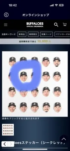 sarrysarry様 リクエスト 2点 まとめ商品