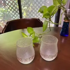 カコ様 リクエスト 5点 まとめ商品