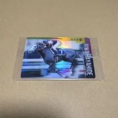 【最安値】トウカイテイオー 箔押し ノーマル サラブレッドホース 岡部 サイン 最安値】トウカイテイオー 箔押し ノーマル サラブレッドホース