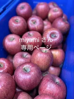 専用です！お待たせ致しました！