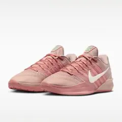 新品 NIKE Sabrina 3 Women's Pink 28.0cm