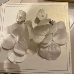 Item thumbnail for item ebb805af-ef27-4dc3-867e-94d17512d352