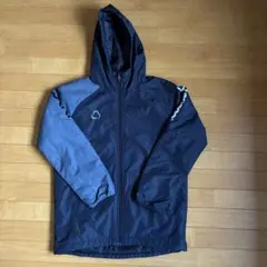 Item thumbnail for item 96ad71f7-cc7e-48f7-971f-fd945420f440