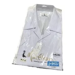 Item thumbnail for item d8251045-4722-40ce-8bf0-5010bf31f50b