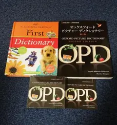 ピクチャーディクショナリー英語教材インターナショナルスクールバイリンガルDWE