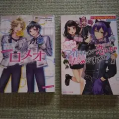 アイドルが恋しちゃだめですか？ ロメオ 2冊セット