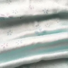 Item thumbnail for item 406995b4-1437-4539-a77d-dc23a27e748b