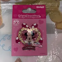 【ピンバッジ】ディズニー パルパルーザ ミニーのファンダーランド