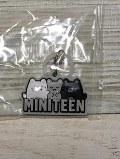 ミニティーン ぷっくりめじるしアクセサリー MINITEEN　ジュン