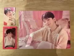 SEVENTEEN シーグリ ウジ