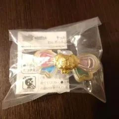 キミとアイドルプリキュア キラルンリボン わんだふるプリキュア！ こむぎver.