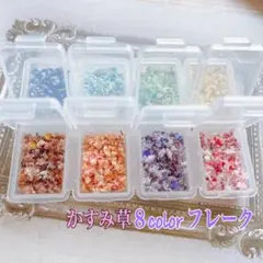 かすみ草ドライフラワー 8色フレークセット 1color180円でお買い得❣️
