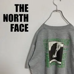 THE NORTH FACEビッグロゴTシャツXLノースフェイスNT32150