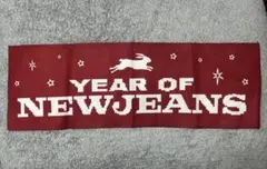 2026年最新】サノク newjeansの人気アイテム - メルカリ