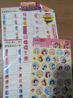 ディズニー プリンセス ミニー お名前シール ごほうびシール セット