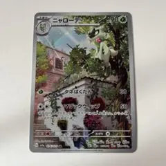 ニャオハ ニャローテ ar 各10枚セット ④ ニャオハ ニャローテ AR マスカーニャex SR 各10枚 進化ライン