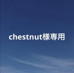 chestnut様 リクエスト 3点 まとめ商品