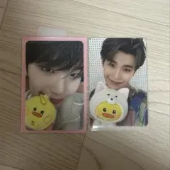 ゼベワン　テレ　ラインフレンズ　トレカ　テニニ