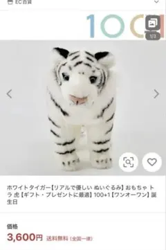 ホワイトタイガー ぬいぐるみ　10C +1