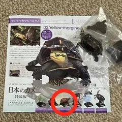 Item thumbnail for item c9865cac-7871-4a24-9912-c3e3342ae3f3