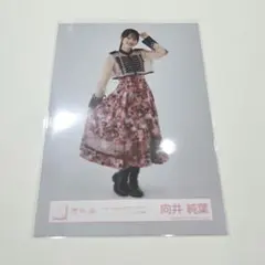 櫻坂46 向井純葉 9th Single BACKS LIVE!! ヒキ