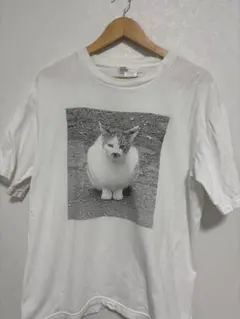 てふ 一番輝いていた時Tシャツ カネコアヤノ - メルカリ