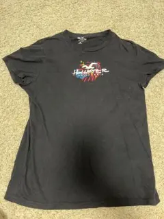 Hollister カラフルプリント Tシャツ Sサイズ ブラック