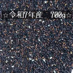 ⭐︎黒米　紫黒米(さよむらさき)無選別 　もち米ミッスク　700g⭐︎のサムネイル