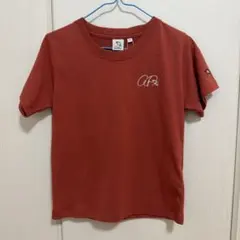 【新品未使用】Arnold Palmer Tシャツ 115cm