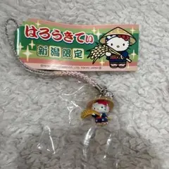 2026年最新】ハローキティ新潟限定の人気アイテム - メルカリ
