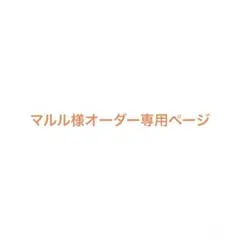 マルル様オーダー専用ページ ホイップデコ マルチケース