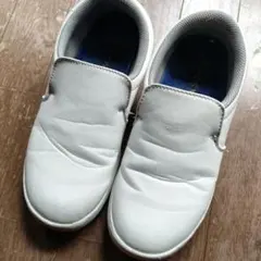 Item thumbnail for item 3d29bbad-f57f-4044-a6ff-014778d3397c