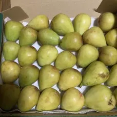 RRR様 リクエスト 2点 まとめ商品