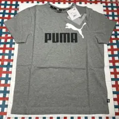 PUMA 半袖Tシャツ グレー 160cm 新品