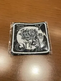 b'z fyop ミュージシャン