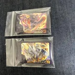 ポケモンフレンダベストタッグ３弾スーパートレジャーガブリアス、ブリジュラス