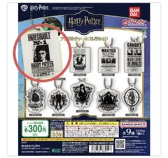 【ハリー】ハリーポッターアクリルチャームコレクション デザインA