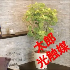 光触媒　人工観葉植物　ウォールグリーン　フェイクグリーン　ペリーラ1.0のサムネイル