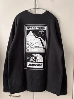 ザノースフェイス スウェット