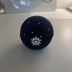 4°C アクセサリーケース