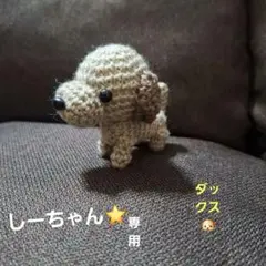 しーちゃん⭐様専用♪あみぐるみ＊ダックス＊ハンドメイド⭐