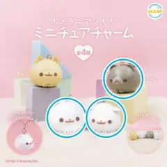 ポメラニアンもち ミニチュアチャーム ガチャガチャ ガチャ もち しらたま