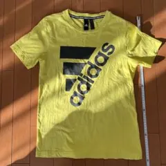 Item thumbnail for item 7d5c0b55-4674-4149-9c42-605353f72406