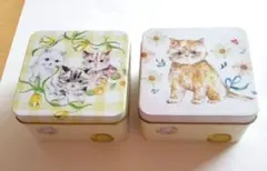 CACAOCAT こねこのこねこねクッキー缶　２缶セット