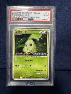 チコリータ　005 PSA6！！！
