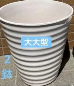 @f植木鉢 2個セット ホワイト 大大型 デザイン鉢 胡蝶蘭 10号鉢