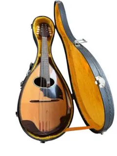 2025年最新】Kunishima mandolinの人気アイテム - メルカリ
