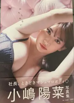 小嶋陽菜　かもしれない写真集　サイン入りトレカ付き 小嶋陽菜さん『小嶋陽菜写真集 かもしれない』 発売記念メッセージ